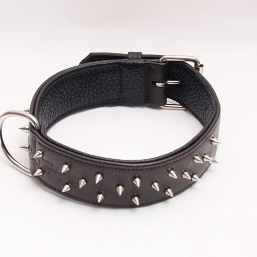 Skórzana obroża z kolcami