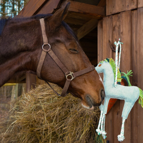 Zabawka dla konia – konik