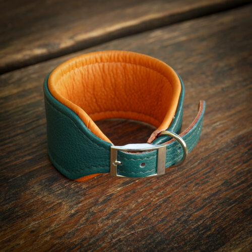 Obroża skórzana dla charta