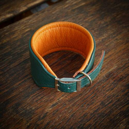 Obroża skórzana dla charta